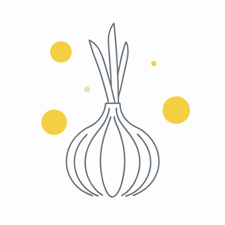 Minimalist onion on White Backgroundのイラスト素材