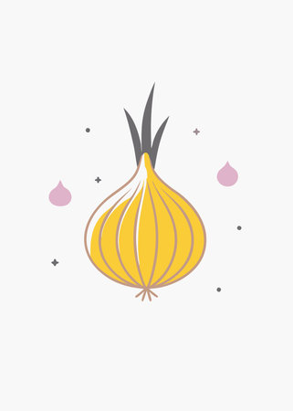 Minimalist onion on White Backgroundのイラスト素材