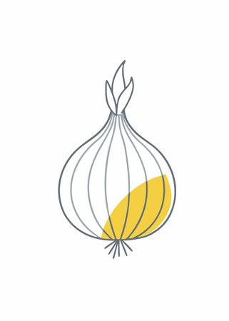Minimalist onion on White Backgroundのイラスト素材