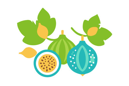 Minimalist pair of figs on White Backgroundのイラスト素材