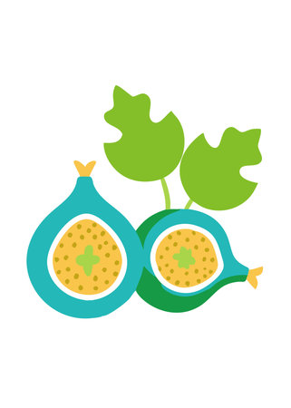 Minimalist pair of figs on White Backgroundのイラスト素材