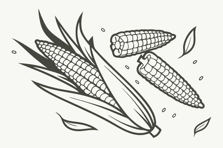 Minimalist corn on White Backgroundのイラスト素材