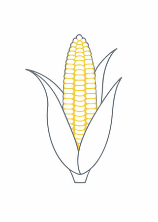 Minimalist corn on White Backgroundのイラスト素材
