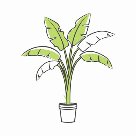 Minimalist banana tree on White Backgroundのイラスト素材