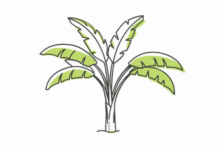 Minimalist banana tree on White Backgroundのイラスト素材