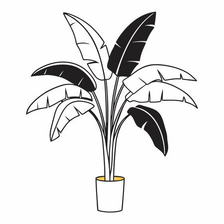 Minimalist banana tree on White Backgroundのイラスト素材