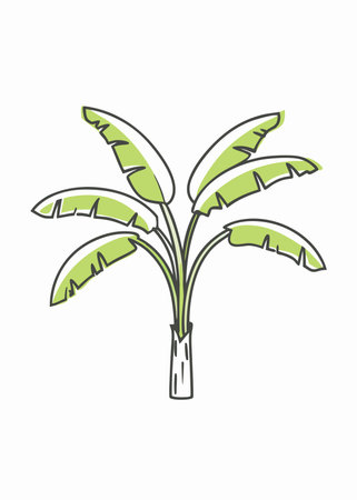 Minimalist banana tree on White Backgroundのイラスト素材