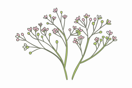 Minimalist Delicate Pink Gypsophila Flowers Branch on White Backgroundのイラスト素材