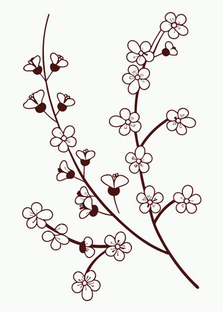 Minimalist Delicate Pink Gypsophila Flowers Branch on White Backgroundのイラスト素材