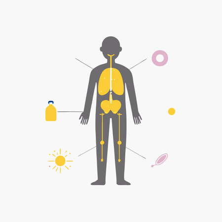 Minimalist human body and anatomy on White Backgroundのイラスト素材