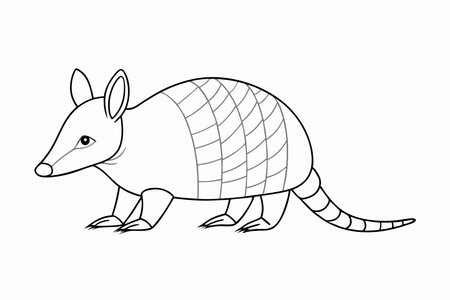 Minimalist Cute little armadillo on White Backgroundのイラスト素材