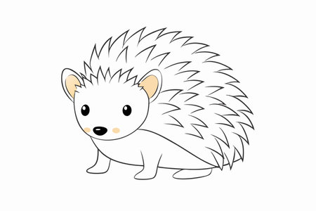 Minimalist Cute little hedgehog on White Backgroundのイラスト素材