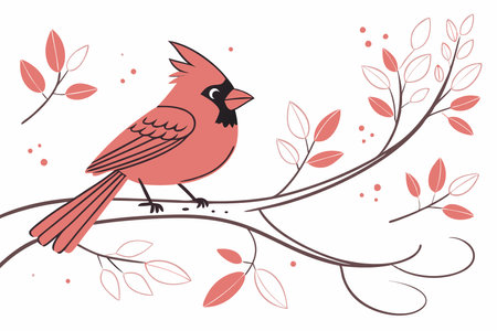 Minimalist Cute baby cardinal bird on White Background