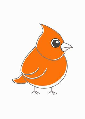 Minimalist Cute baby cardinal bird on White Backgroundのイラスト素材