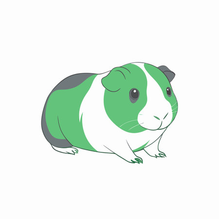 Minimalist Cute little guinea pig on White Backgroundのイラスト素材