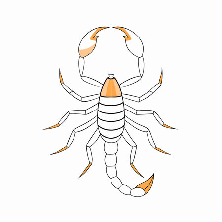Minimalist Cute black scorpion on White Background