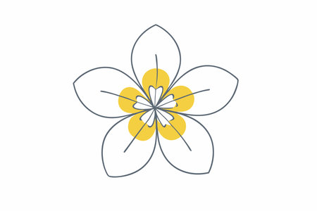 Minimalist Amarena cherry flower on White Backgroundのイラスト素材