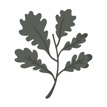 Minimalist Kermes oak tree branch on White Backgroundのイラスト素材