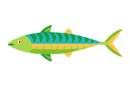 Minimalist Chub mackerel on White Backgroundのイラスト素材