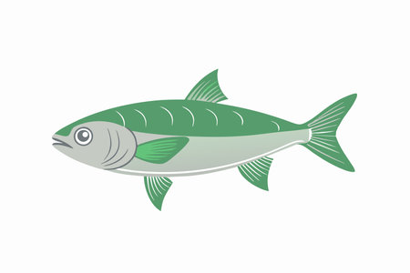 Minimalist Chub mackerel on White Backgroundのイラスト素材