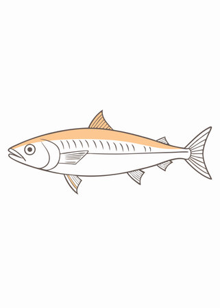 Minimalist Chub mackerel on White Backgroundのイラスト素材