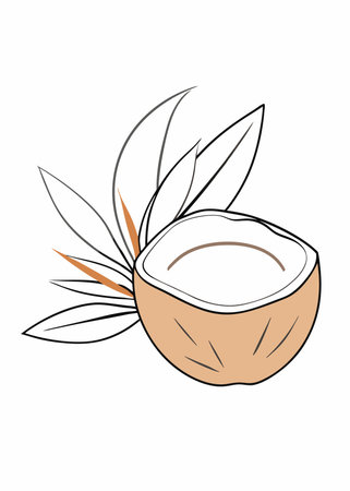 Minimalist COCONUT FRUIT on White Backgroundのイラスト素材
