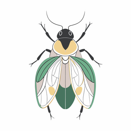 Minimalist Insect Japanese style on White Background