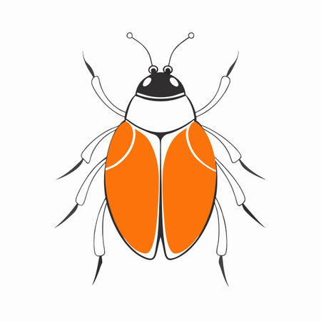 Minimalist Insect Japanese style on White Backgroundのイラスト素材