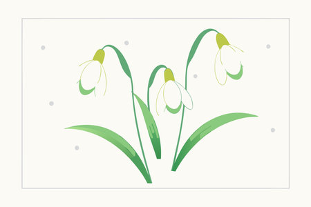 Minimalist Snowdrops on White Backgroundのイラスト素材