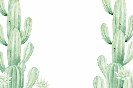 Watercolor cactus Background on whiteのイラスト素材