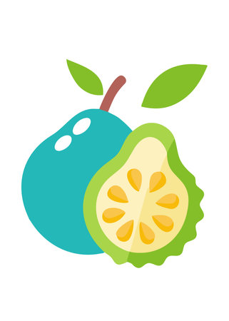 Minimalist Cherimoya fruit on White Background