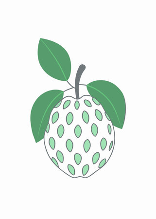Minimalist Cherimoya fruit on White Background
