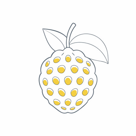 Minimalist Cherimoya fruit on White Backgroundのイラスト素材