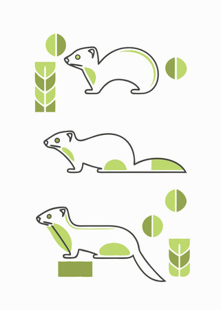 Minimalist Ferret on White Backgroundのイラスト素材