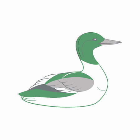 Minimalist Goosander on White Backgroundのイラスト素材