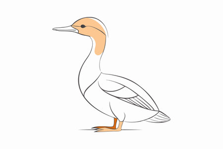 Minimalist Goosander on White Backgroundのイラスト素材