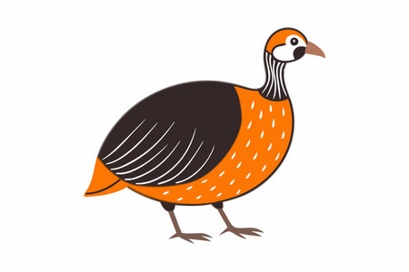 Minimalist Guinea fowl on White Backgroundのイラスト素材