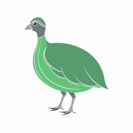 Minimalist Guinea fowl on White Background