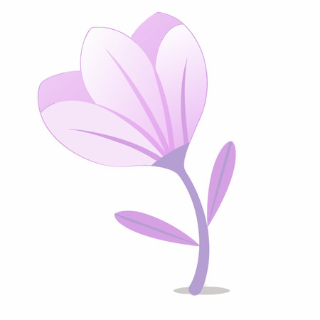 Minimalist Magnolia on White Backgroundのイラスト素材