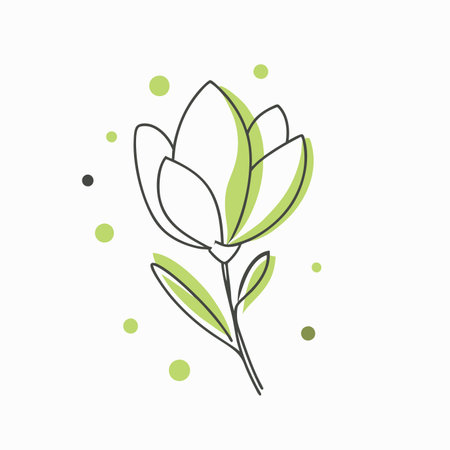 Minimalist Magnolia on White Backgroundのイラスト素材