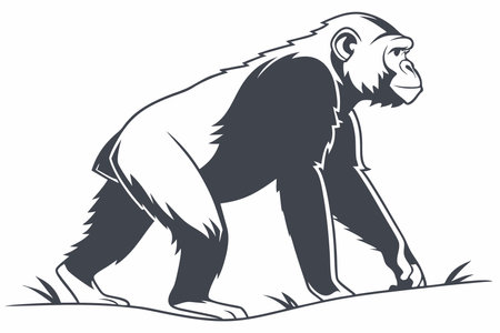 Minimalist Ape on White Backgroundのイラスト素材