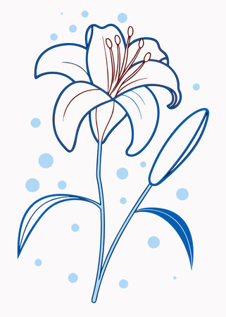 Minimalist Orange Tiger Lily on White Backgroundのイラスト素材