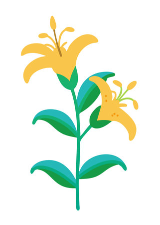 Minimalist Orange Tiger Lily on White Backgroundのイラスト素材