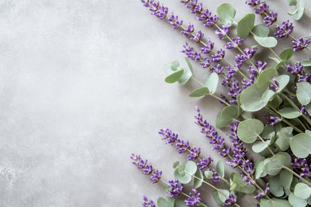 Lavender flowers on grey stone background. Flat lay, top view, copy spaceの写真素材