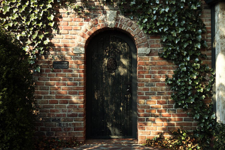 Old wooden door with ivy on a brick wall in the parkの写真素材
