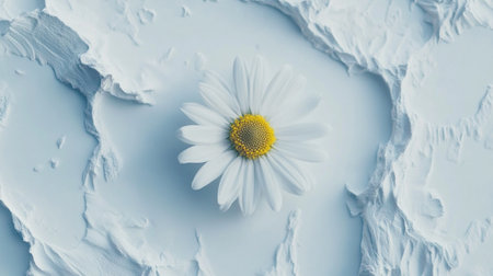 White daisy flower on a blue background. 3d rendering.の写真素材