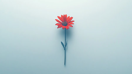 Red daisy flower on blue background. 3D render illustration.の写真素材