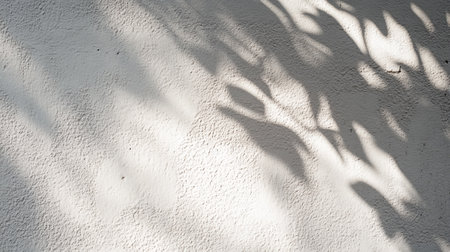 shadow of the leaves on the white wall. background and texture.の写真素材