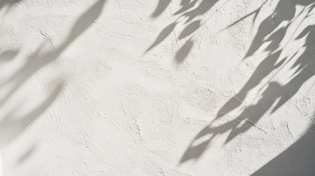 Shadow of leaves on a white wall. Natural light. Abstract background.の写真素材