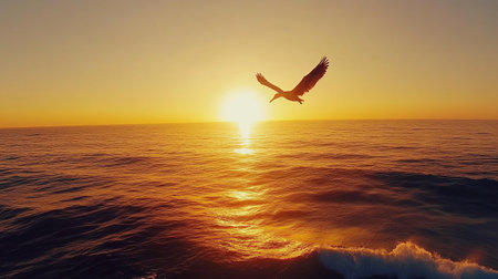 Seagull flying over the sea at sunset. 3d renderの写真素材